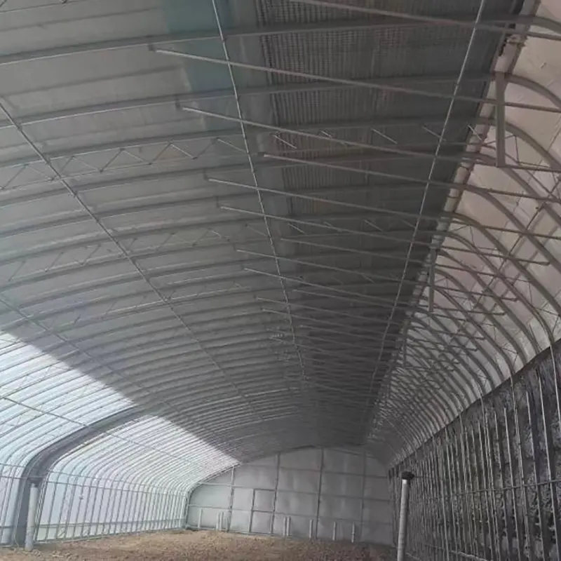 Invernadero solar prefabricado con estructura de acero doble