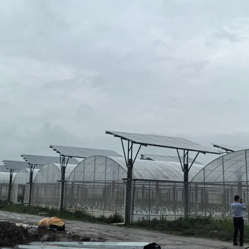 Invernadero de varios tramos con techo fotovoltaico Invernadero de varios tramos con techo fotovoltaico