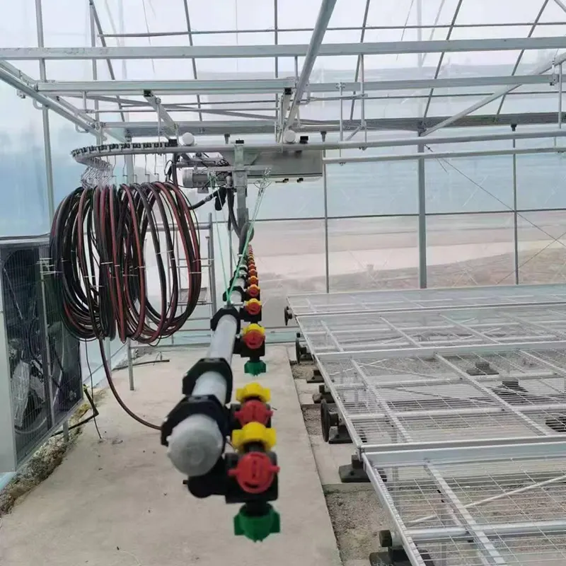 Invernadero de varios tramos tipo diente de sierra de doble cara
