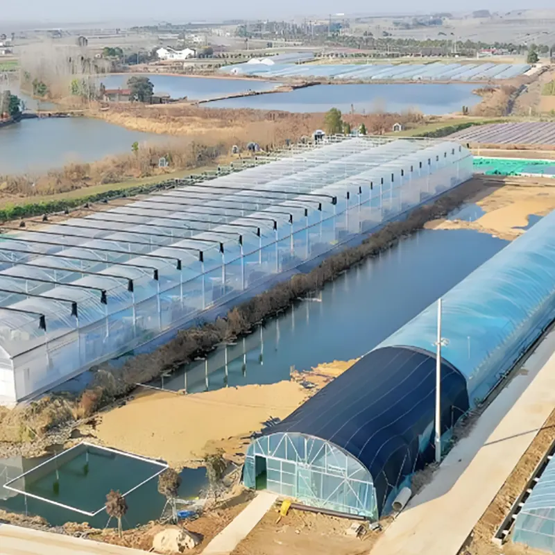 Cobertizo de cría de peces