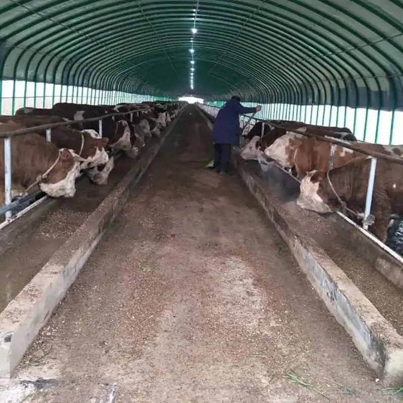 Galpón de cría de ganado y aves de corral