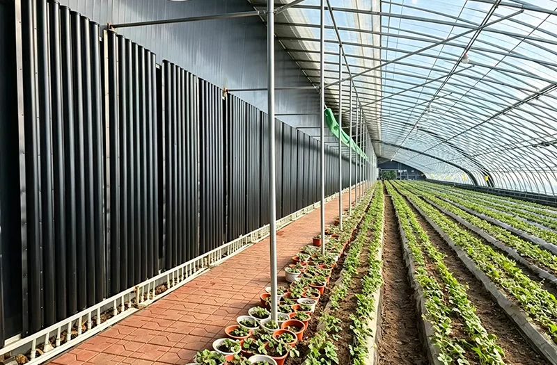 ¿Cómo pueden los agricultores elegir los invernaderos solares adecuados para una producción agrícola eficiente durante todo el año?