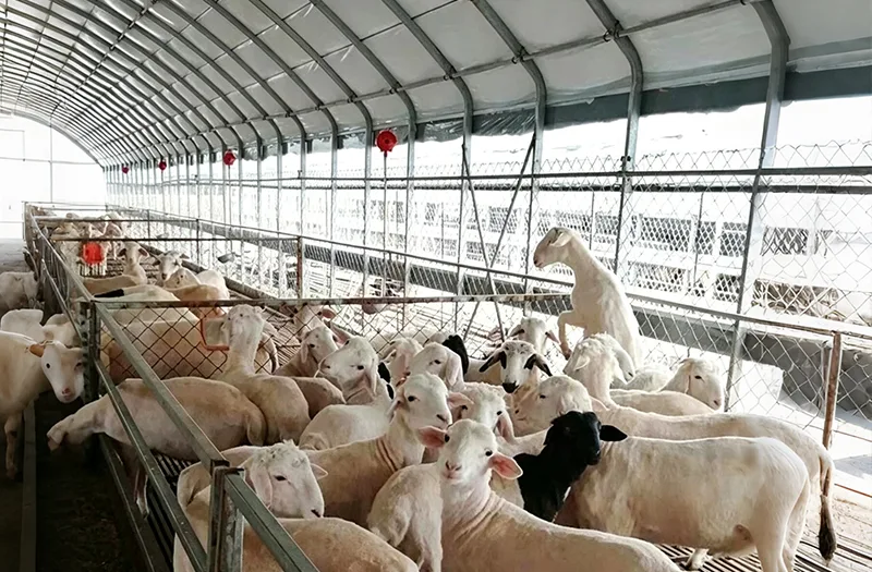 ¿Qué se debe considerar al seleccionar invernaderos ganaderos para proyectos agrícolas?