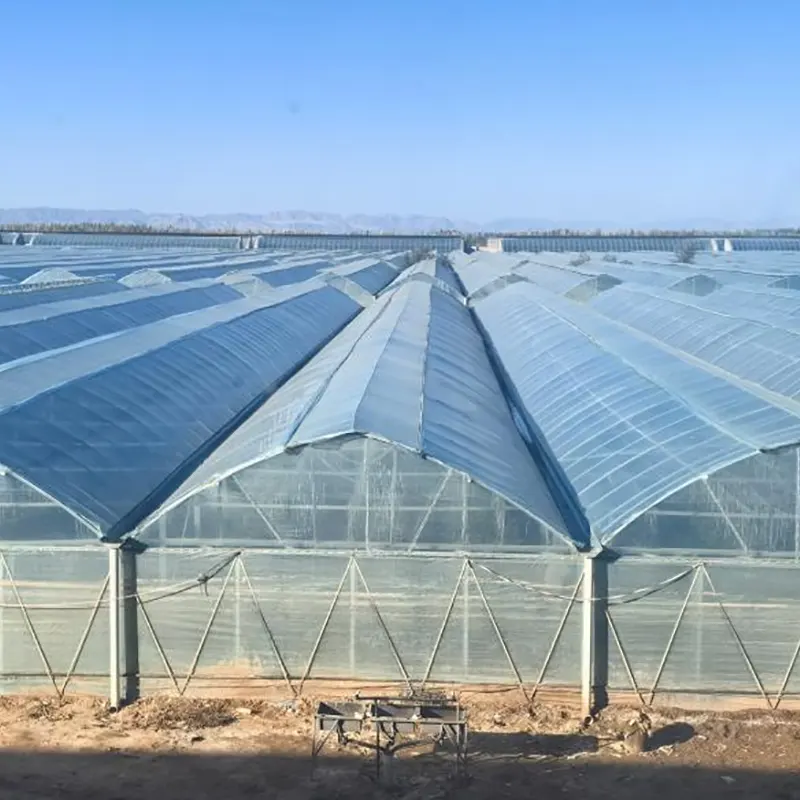 ¿Qué hace que los invernaderos de película de varios espacios sean ideales para la agricultura comercial?