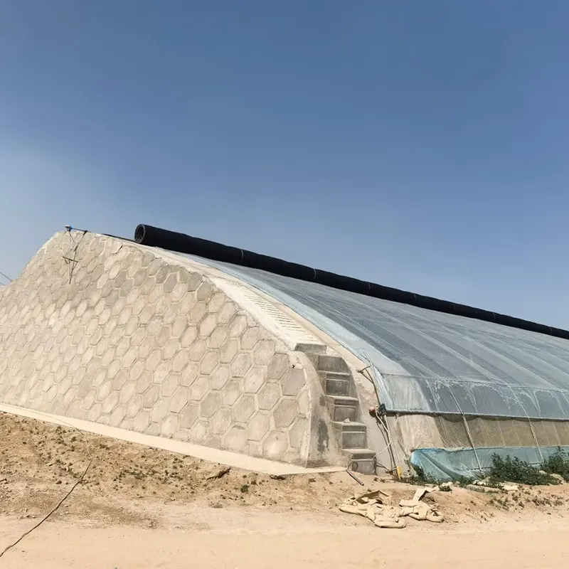 Invernadero solar prefabricado con estructura de acero doble