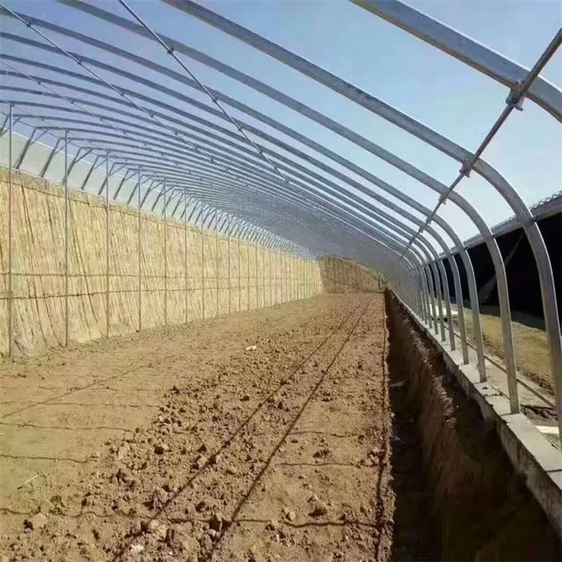 Galpón de cría de ganado vacuno