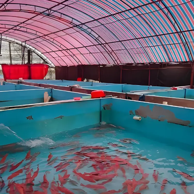 Cobertizo de cría de peces