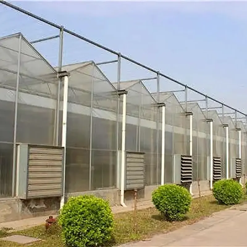Multi-Span Double Layer Hollow Glass Green House