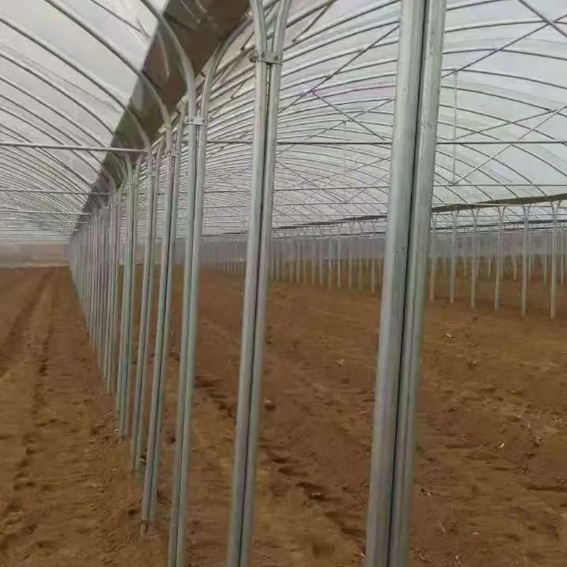 Invernadero simple de varios tramos con arco redondo y patas juntas