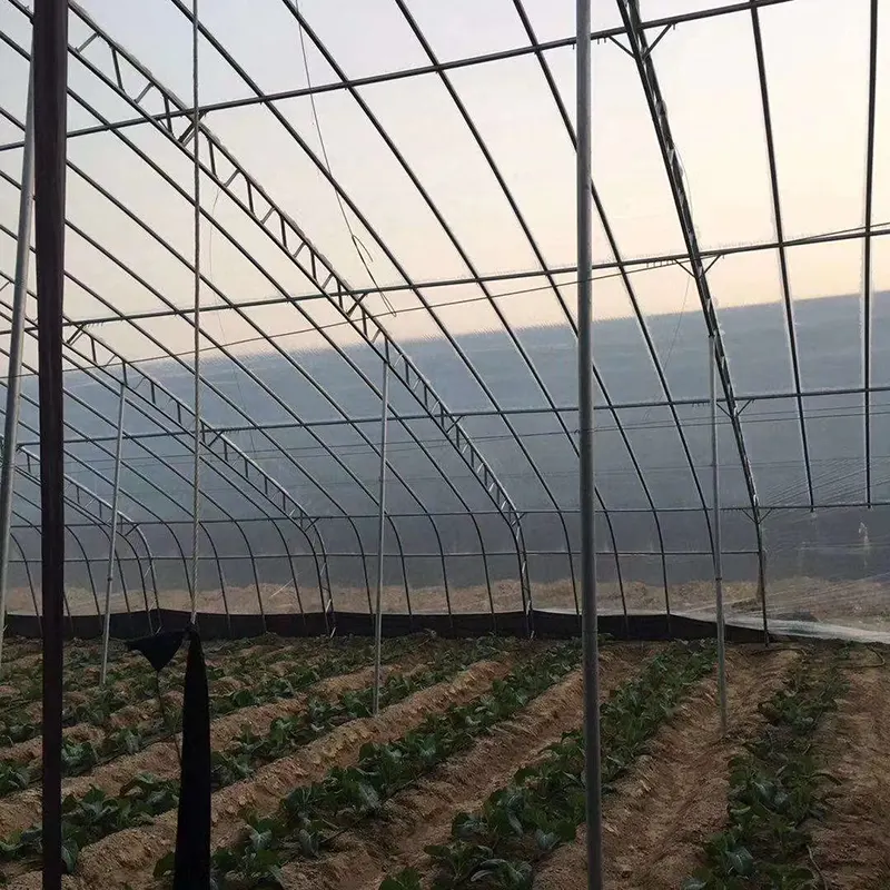 Invernadero solar prefabricado totalmente de acero de una sola pendiente