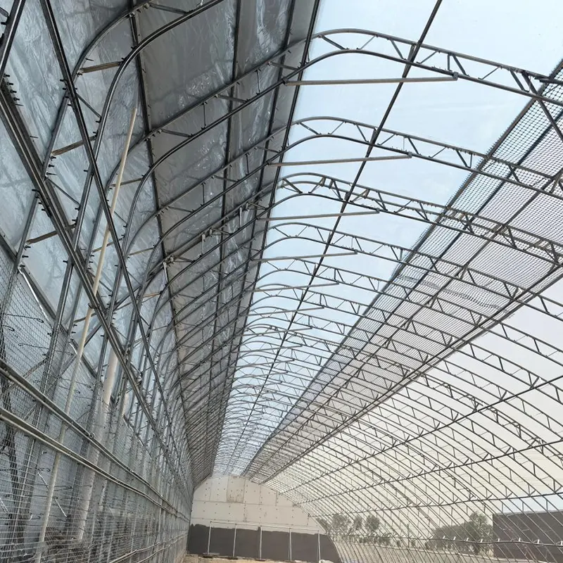 Invernadero solar prefabricado de doble película y pendiente única