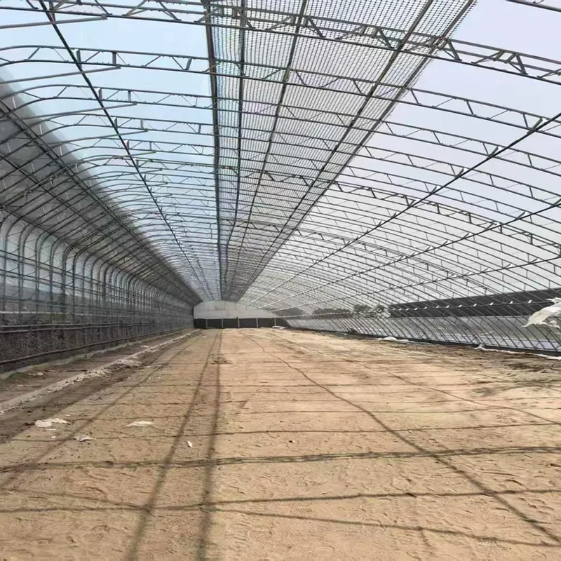 Invernadero solar prefabricado con estructura de acero doble