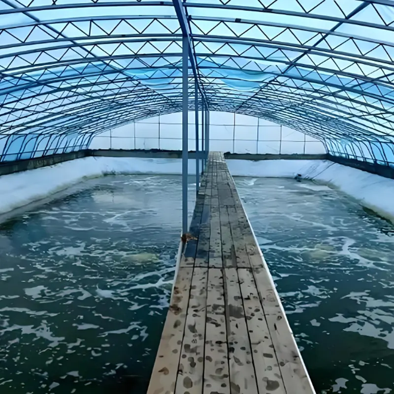 Cobertizo de cría de camarones